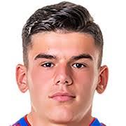 阿尔比·哈吉达里