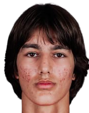 阿米尔·西耶维奇