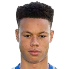 德里·莱昂内尔·舍尔汉特