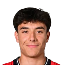 德尼兹·蔡特勒