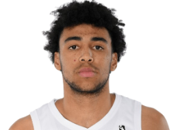 伊桑·阿尔曼萨